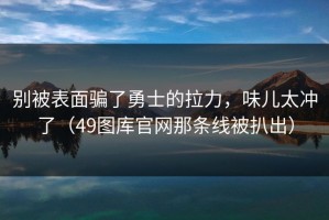 别被表面骗了勇士的拉力，味儿太冲了（49图库官网那条线被扒出）