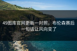 49图库官网更新一对照，布伦森赛后一句话让风向变了