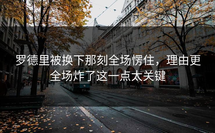 罗德里被换下那刻全场愣住，理由更全场炸了这一点太关键