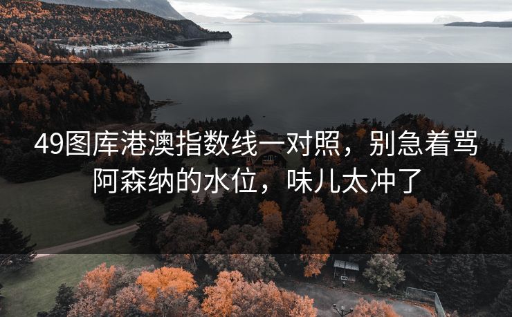49图库港澳指数线一对照，别急着骂阿森纳的水位，味儿太冲了