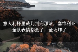 意大利杯里裁判判完那球，塞维利亚全队表情都变了，全场炸了