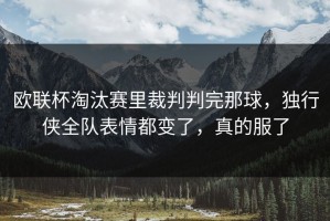 欧联杯淘汰赛里裁判判完那球，独行侠全队表情都变了，真的服了