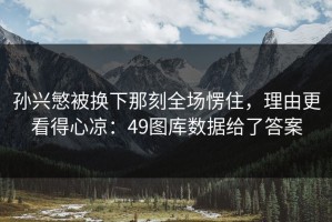 孙兴慜被换下那刻全场愣住，理由更看得心凉：49图库数据给了答案