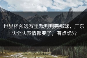 世界杯预选赛里裁判判完那球，广东队全队表情都变了，有点诡异