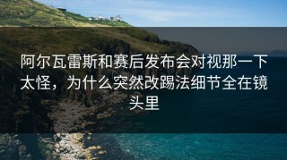 阿尔瓦雷斯和赛后发布会对视那一下太怪，为什么突然改踢法细节全在镜头里