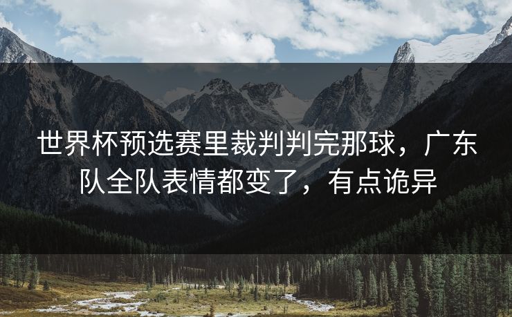 世界杯预选赛里裁判判完那球，广东队全队表情都变了，有点诡异