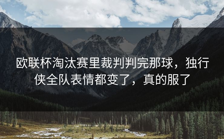 欧联杯淘汰赛里裁判判完那球，独行侠全队表情都变了，真的服了