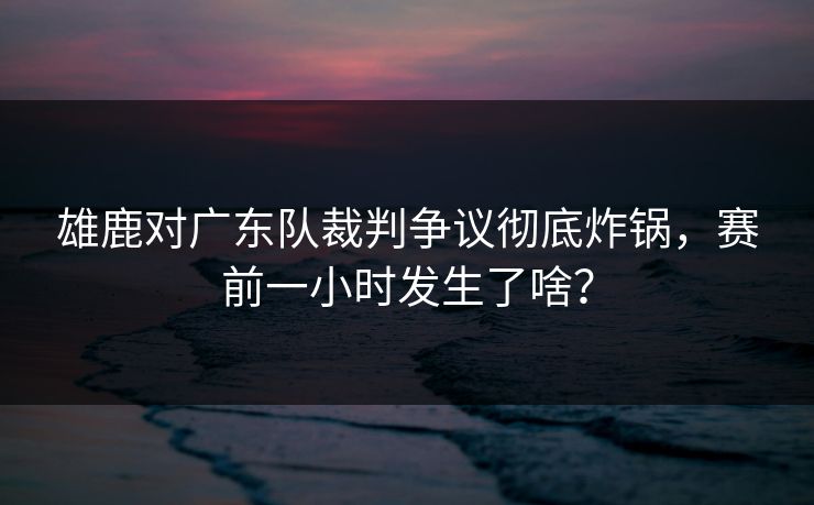 雄鹿对广东队裁判争议彻底炸锅，赛前一小时发生了啥？